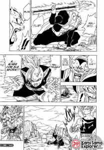 dbs13
