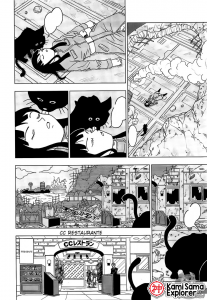 dbs24